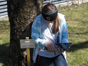 Dejavnosti biološkega krožka 2